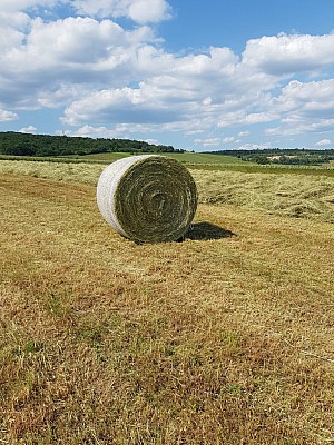 IMG-20240521-WA0003 10924
