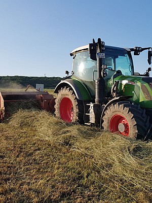 IMG-20240521-WA0005 10924