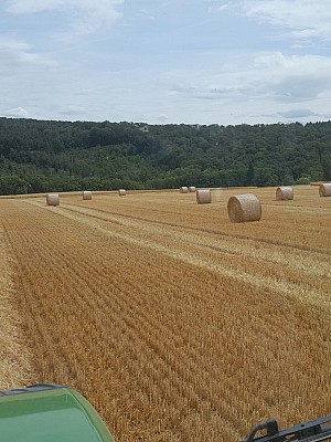 IMG-20230723-WA0006