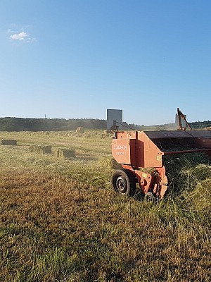 IMG-20240521-WA0020 10924