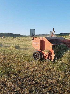 IMG-20240521-WA0029 10924