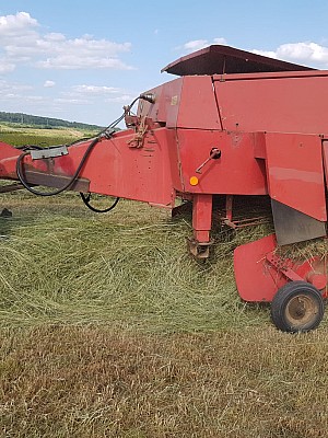 IMG-20240521-WA0025 10924