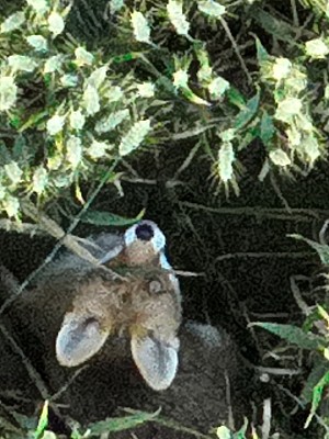 kunde screen 1ec31d8349d887da 1718823000000