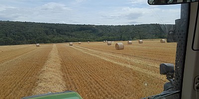 IMG-20230723-WA0006