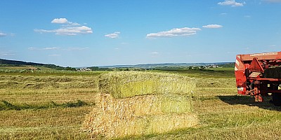 IMG-20240521-WA0027 10924