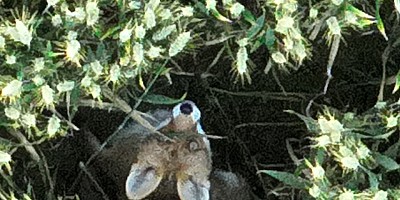 kunde screen 1ec31d8349d887da 1718823000000