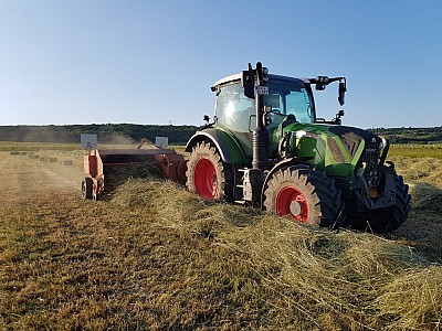 IMG-20240521-WA0005 10924