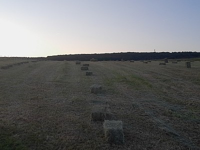 IMG-20230603-WA0040