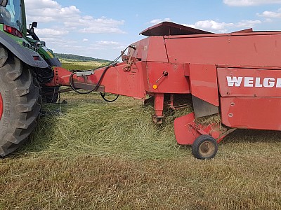 IMG-20240521-WA0025 10924