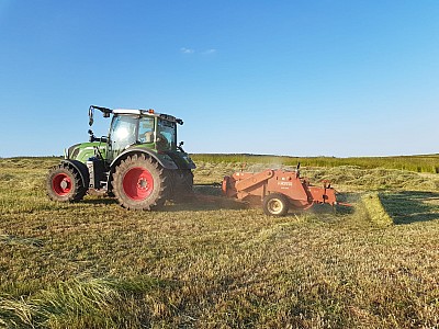 IMG-20240521-WA0033 10924