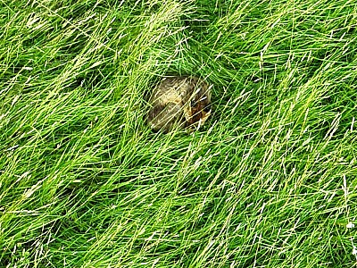 kunde screen 33930ea1c5ea2dab 1718528346000