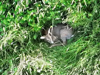 kunde screen 5dbc77f077ceb978 1718565804000