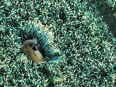 kunde screen 7d167f5724ba9f71 1718822696000