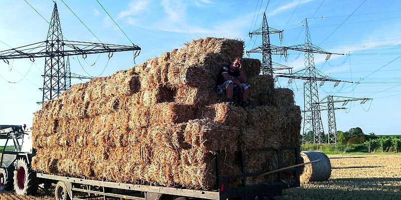 Transport